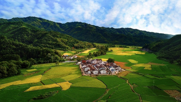 春到大江南 青山绿水展新颜