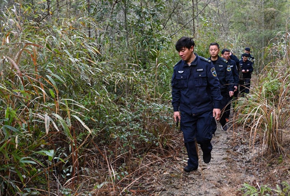 武夷山国家公园护林员巡山记