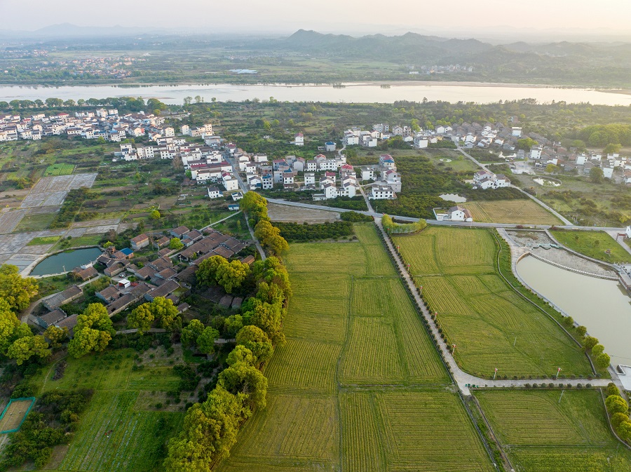 江西金溪：江南田园 春日如画