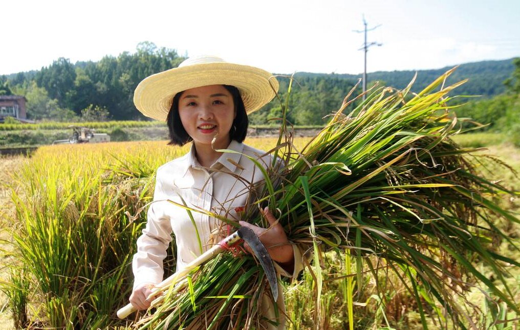 邓小燕：“燕儿”归来稻更香